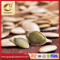 Hot Selling Shine Skin Pumpkin Seed Kernels AA